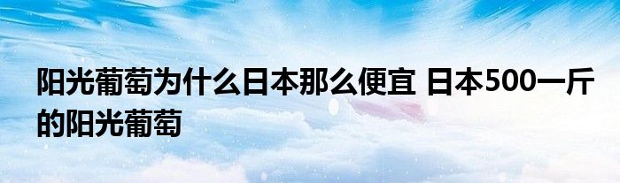 阳光葡萄为什么日本那么便宜 日本500一斤的阳光葡萄