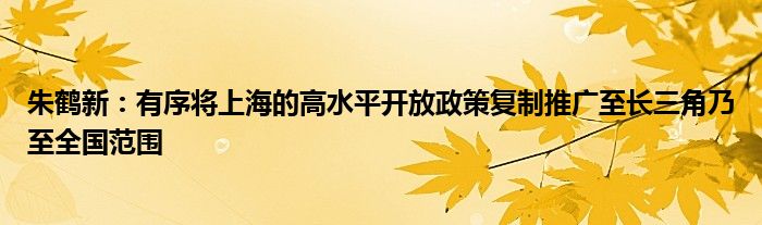 朱鹤新：有序将上海的高水平开放政策复制推广至长三角乃至全国范围