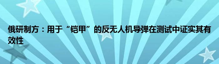 俄研制方：用于“铠甲”的反无人机导弹在测试中证实其有效性