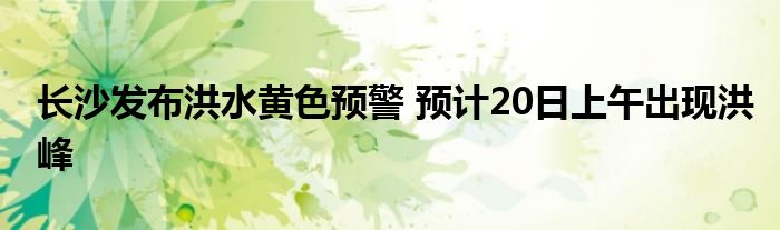 长沙发布洪水黄色预警 预计20日上午出现洪峰