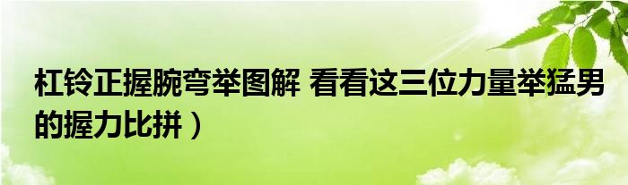 杠铃正握腕弯举图解 看看这三位力量举猛男的握力比拼）