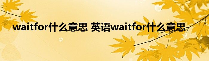 waitfor什么意思 英语waitfor什么意思