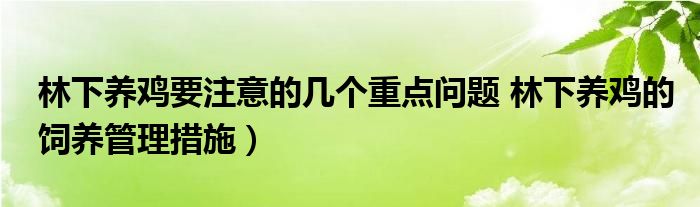 林下养鸡要注意的几个重点问题 林下养鸡的饲养管理措施）