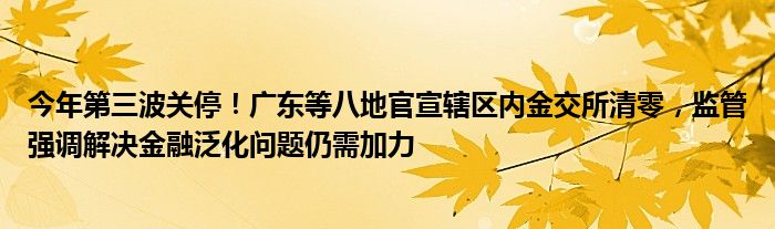 今年第三波关停！广东等八地官宣辖区内金交所清零，监管强调解决金融泛化问题仍需加力