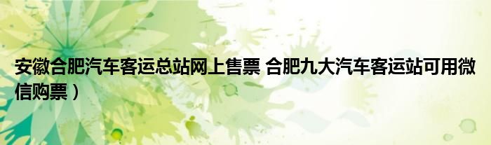 安徽合肥汽车客运总站网上售票 合肥九大汽车客运站可用微信购票）