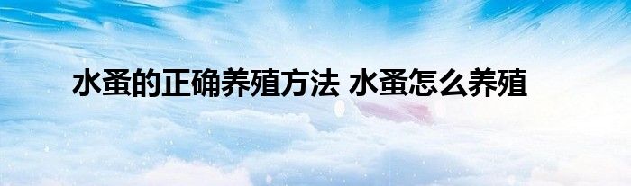 水蚤的正确养殖方法 水蚤怎么养殖