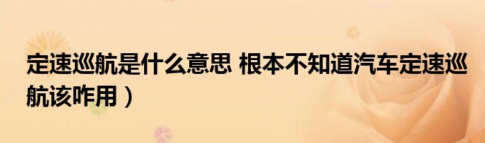 定速巡航是什么意思 根本不知道汽车定速巡航该咋用）