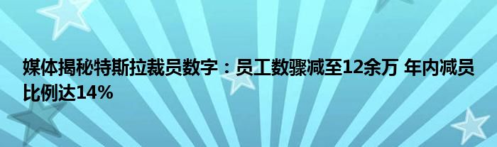 媒体揭秘特斯拉裁员数字：员工数骤减至12余万 年内减员比例达14%