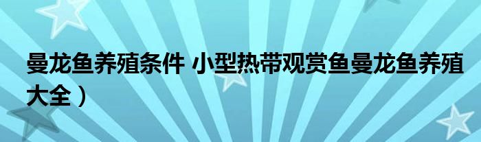 曼龙鱼养殖条件 小型热带观赏鱼曼龙鱼养殖大全）