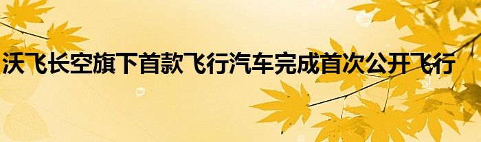 沃飞长空旗下首款飞行汽车完成首次公开飞行