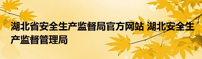 湖北省安全生产监督局官方网站 湖北安全生产监督管理局