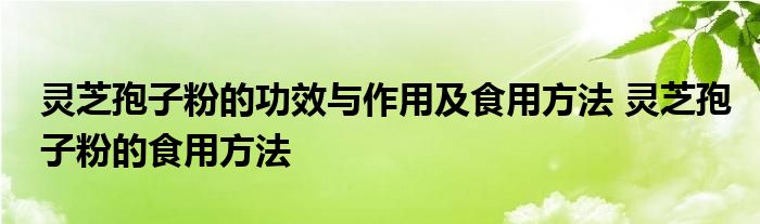 灵芝孢子粉的功效与作用及食用方法 灵芝孢子粉的食用方法