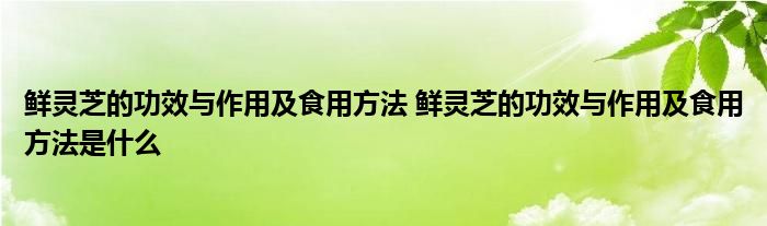 鲜灵芝的功效与作用及食用方法 鲜灵芝的功效与作用及食用方法是什么