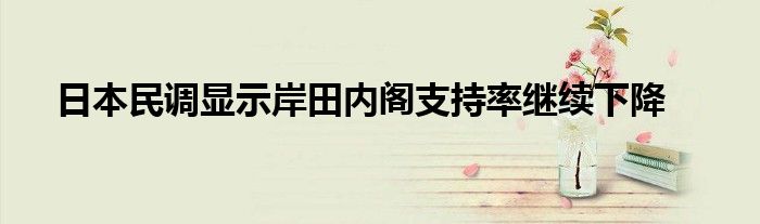 日本民调显示岸田内阁支持率继续下降