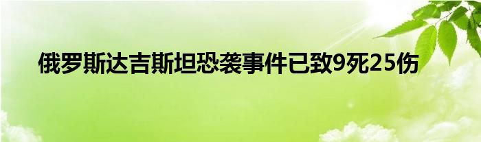 俄罗斯达吉斯坦恐袭事件已致9死25伤