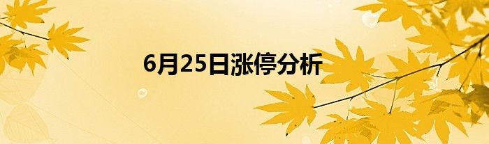 6月25日涨停分析