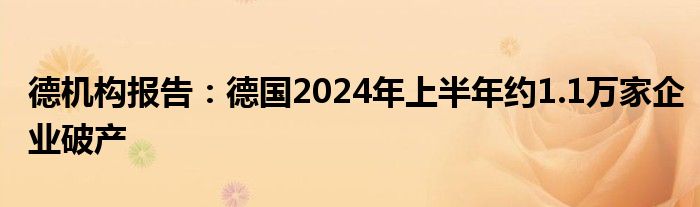 德机构报告：德国2024年上半年约1.1万家企业破产