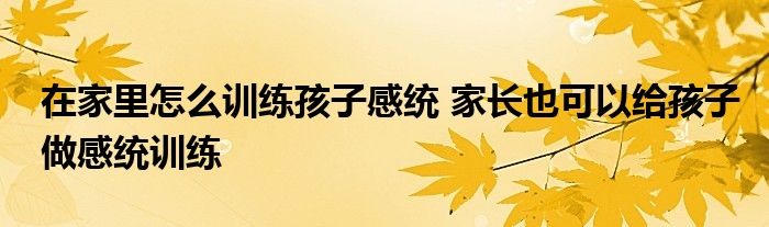 在家里怎么训练孩子感统 家长也可以给孩子做感统训练