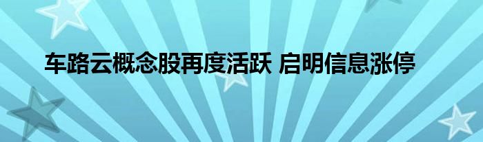 车路云概念股再度活跃 启明信息涨停