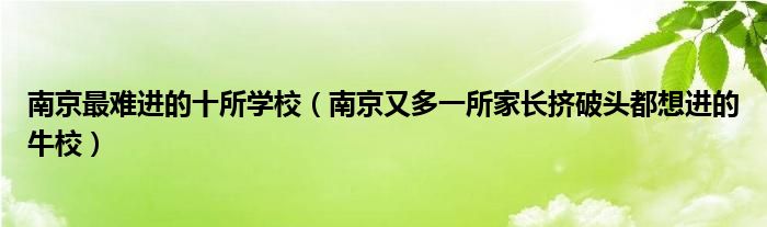 南京最难进的十所学校（南京又多一所家长挤破头都想进的牛校）