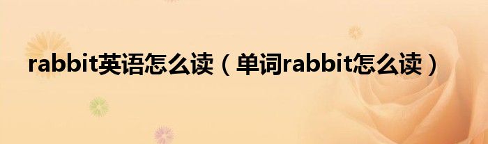 rabbit英语怎么读（单词rabbit怎么读）