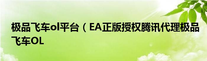 极品飞车ol平台（EA正版授权腾讯代理极品飞车OL