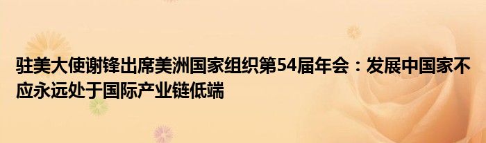 驻美大使谢锋出席美洲国家组织第54届年会：发展中国家不应永远处于国际产业链低端