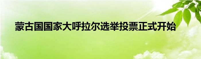 蒙古国国家大呼拉尔选举投票正式开始