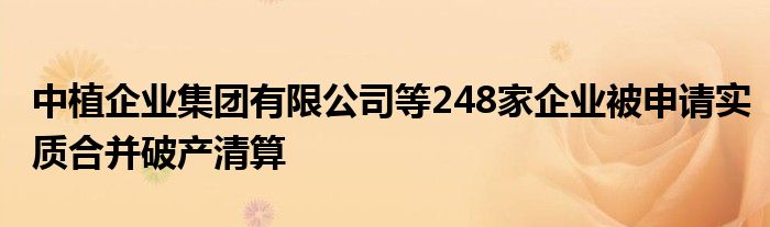 中植企业集团有限公司等248家企业被申请实质合并破产清算