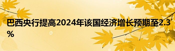 巴西央行提高2024年该国经济增长预期至2.3%