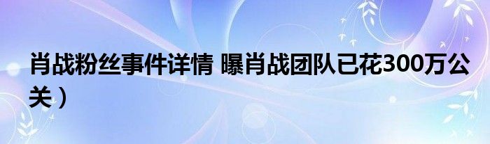 肖战粉丝事件详情 曝肖战团队已花300万公关）