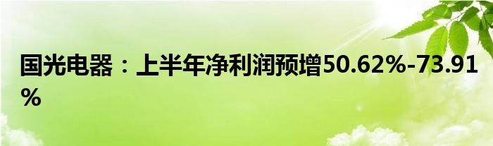 国光电器：上半年净利润预增50.62%-73.91%