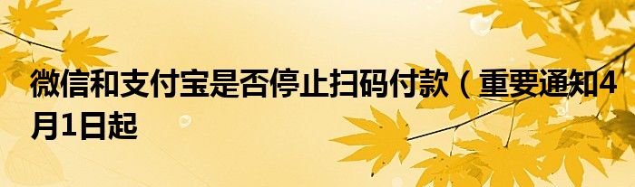 微信和支付宝是否停止扫码付款（重要通知4月1日起