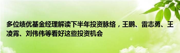 多位绩优基金经理解读下半年投资脉络，王鹏、雷志勇、王凌霄、刘伟伟等看好这些投资机会