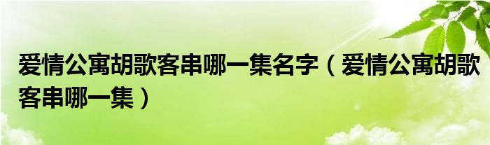 爱情公寓胡歌客串哪一集名字（爱情公寓胡歌客串哪一集）