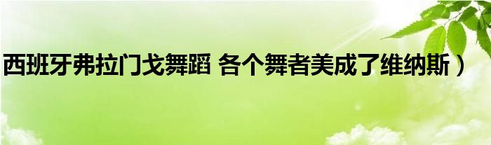 西班牙弗拉门戈舞蹈 各个舞者美成了维纳斯）