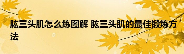 肱三头肌怎么练图解 肱三头肌的最佳锻炼方法