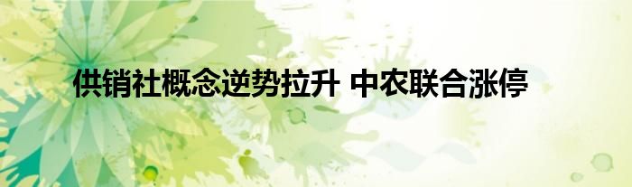 供销社概念逆势拉升 中农联合涨停