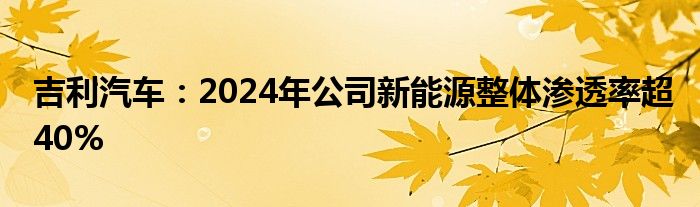 吉利汽车：2024年公司新能源整体渗透率超40%