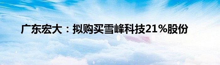 广东宏大：拟购买雪峰科技21%股份