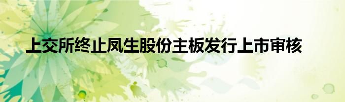 上交所终止凤生股份主板发行上市审核