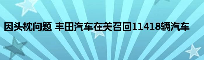 因头枕问题 丰田汽车在美召回11418辆汽车