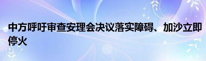 中方呼吁审查安理会决议落实障碍、加沙立即停火