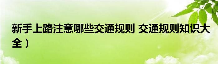 新手上路注意哪些交通规则 交通规则知识大全）