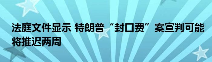 法庭文件显示 特朗普“封口费”案宣判可能将推迟两周