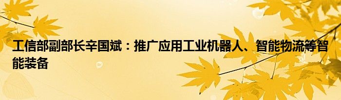 工信部副部长辛国斌：推广应用工业机器人、智能物流等智能装备