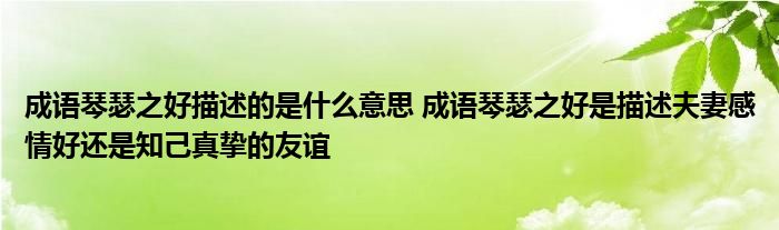 成语琴瑟之好描述的是什么意思 成语琴瑟之好是描述夫妻感情好还是知己真挚的友谊