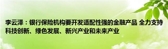 李云泽：银行保险机构要开发适配性强的金融产品 全力支持科技创新、绿色发展、新兴产业和未来产业