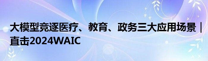 大模型竞逐医疗、教育、政务三大应用场景｜直击2024WAIC