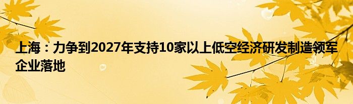 上海：力争到2027年支持10家以上低空经济研发制造领军企业落地